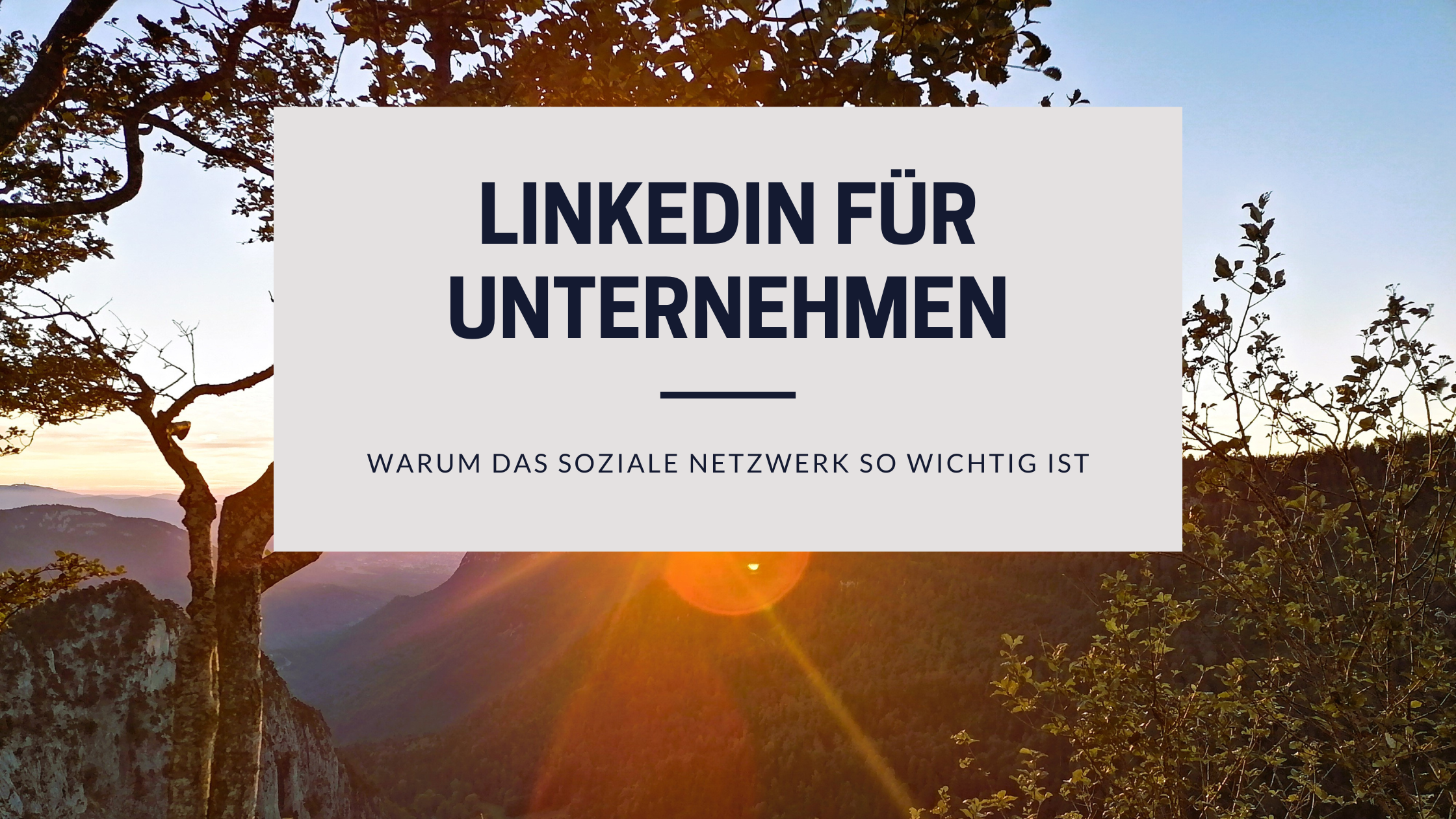 LinkedIn für Unternehmen